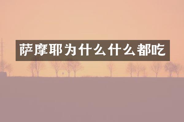 萨摩耶为什么什么都吃
