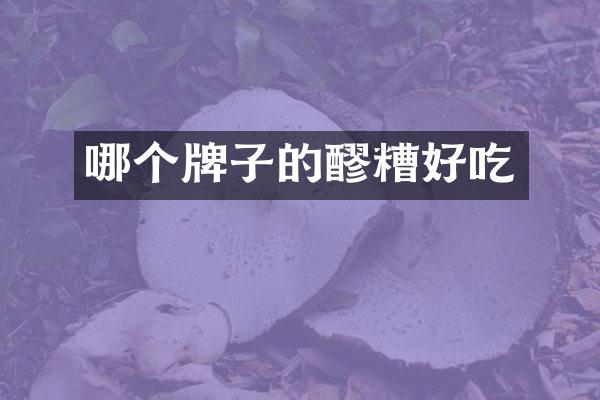 哪个牌子的醪糟好吃