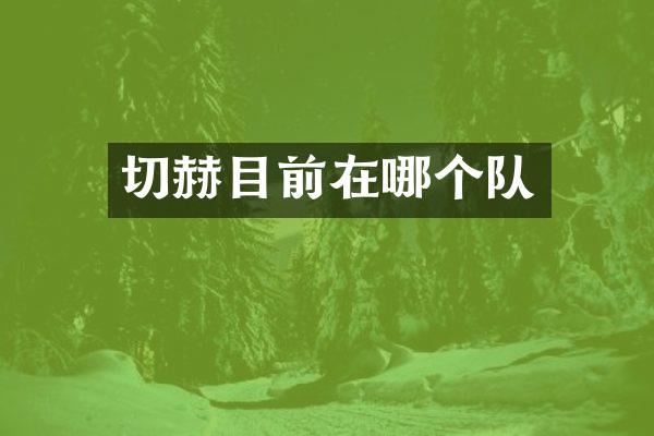切赫目前在哪个队