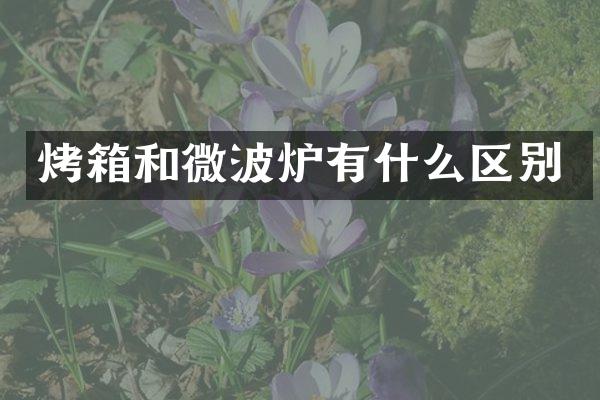 烤箱和微波炉有什么区别