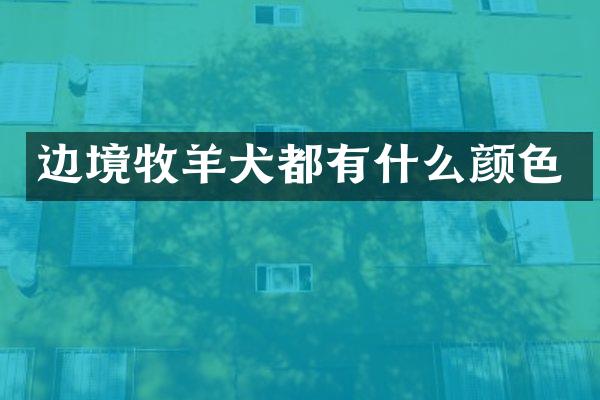 边境牧羊犬都有什么颜色