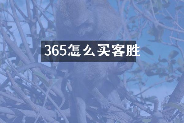 365怎么买客胜
