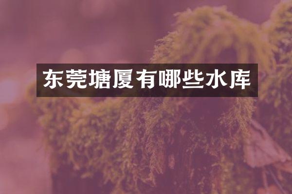 东莞塘厦有哪些水库