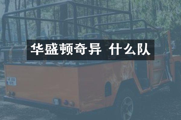华盛顿奇异 什么队