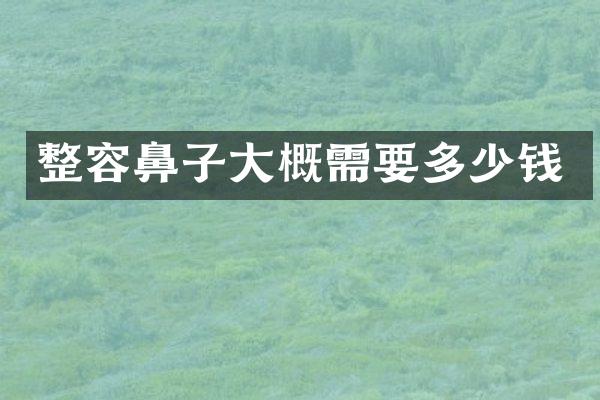 整容鼻子大概需要多少钱