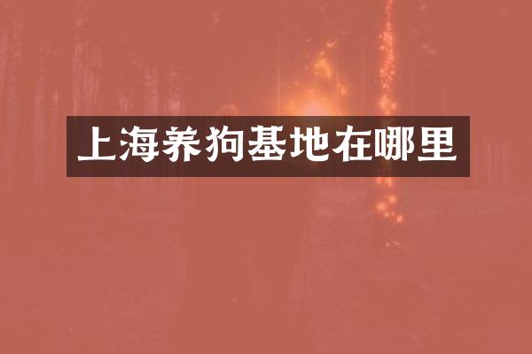 上海基地在哪里