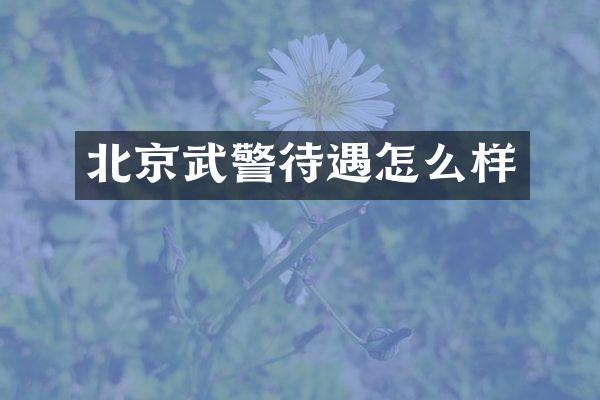 北京武警待遇怎么样