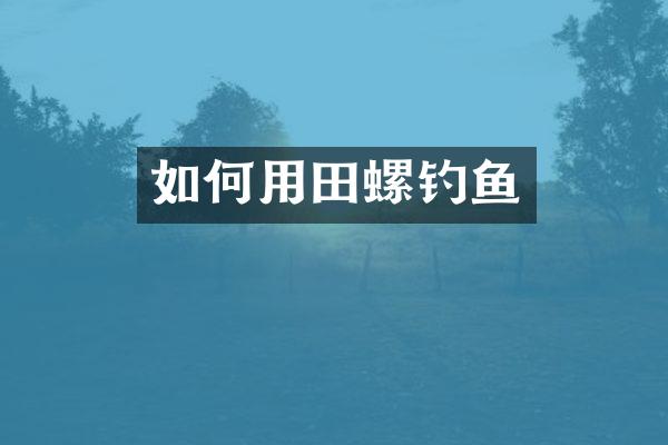 如何用田螺钓鱼