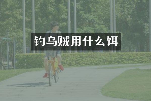 钓乌贼用什么饵