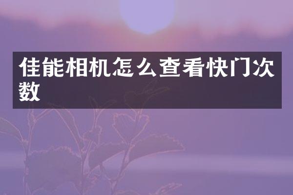 佳能相机怎么查看快门次数
