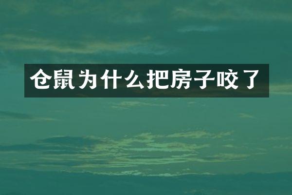 仓鼠为什么把房子咬了