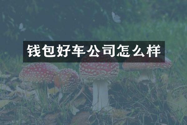 钱包好车公司怎么样