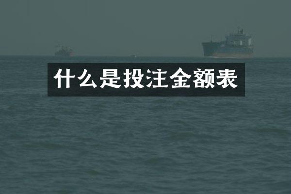 什么是金额表