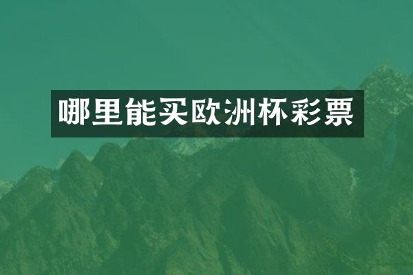 哪里能买欧洲杯彩票