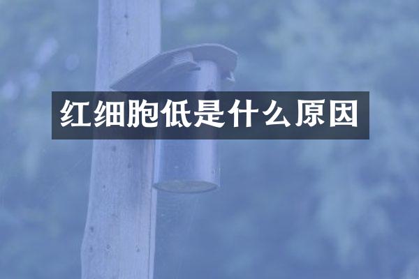 红细胞低是什么原因