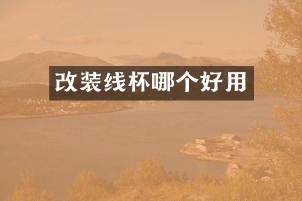 改装线杯哪个好用