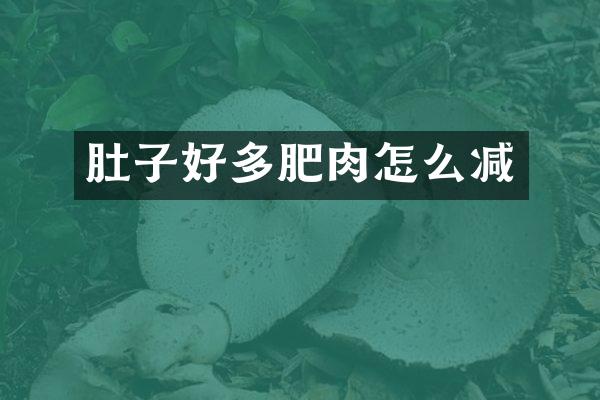 肚子好多肥肉怎么减