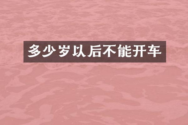 以后不能开车