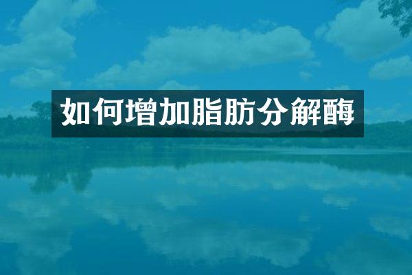 如何增加脂肪分解酶