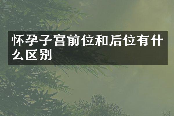 怀孕子宫前位和后位有什么区别
