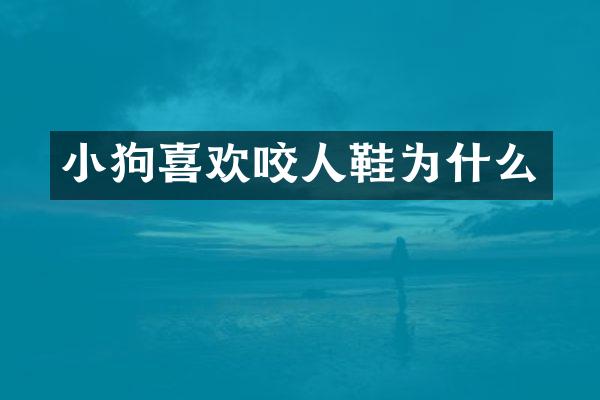 小狗喜欢咬人鞋为什么