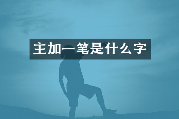 主加一笔是什么字