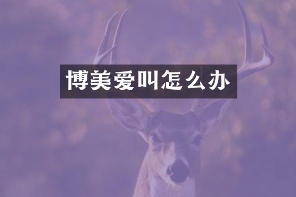 博美爱叫怎么办