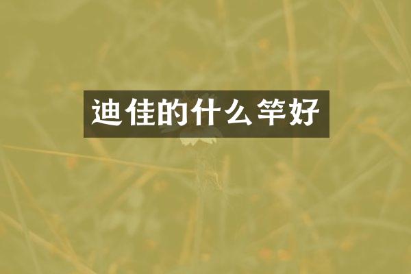 迪佳的什么竿好