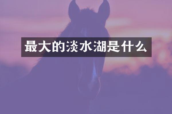 最大的淡水湖是什么