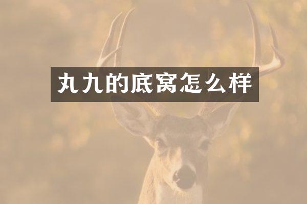 丸九的底窝怎么样