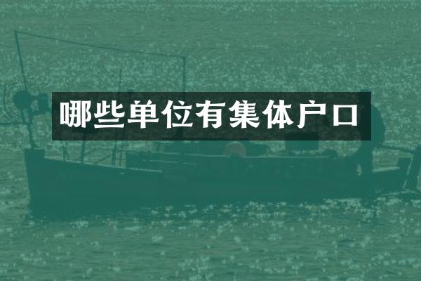 哪些单位有集体户口