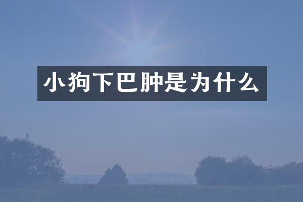 小狗下巴肿是为什么