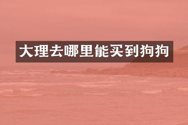 大理去哪里能买到狗狗