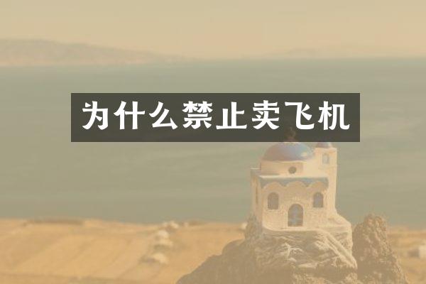 为什么禁止卖飞机