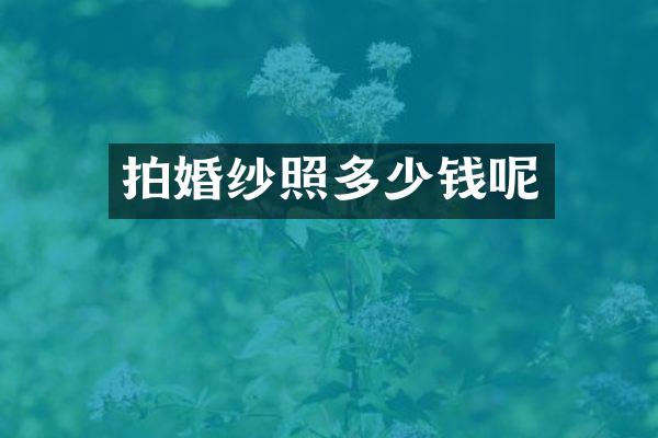 拍婚纱照多少钱呢