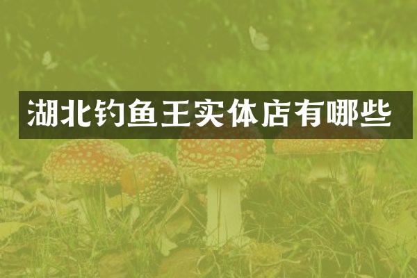 湖北钓鱼王实体店有哪些