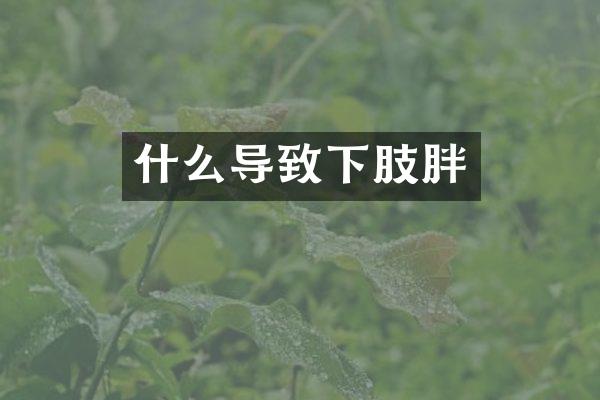 什么导致下肢胖