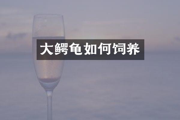 大鳄龟如何饲养