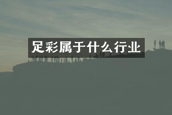 属于什么行业