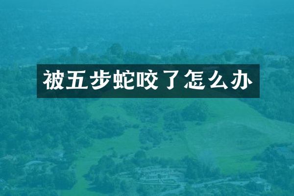 被五步蛇咬了怎么办
