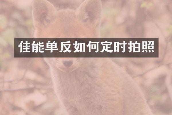 佳能单反如何定时拍照