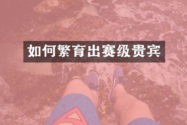 如何繁育出赛级贵宾