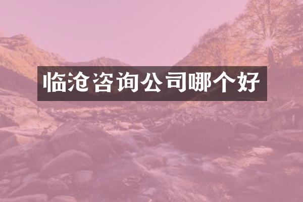 临沧咨询公司哪个好