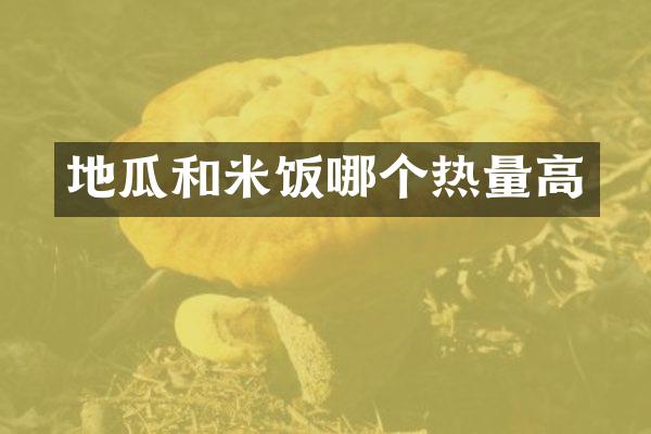 地瓜和米饭哪个热量高