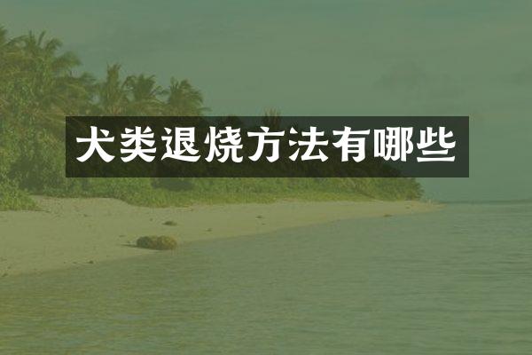 犬类退烧方法有哪些