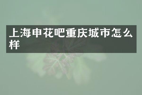 上海申花吧重庆城市怎么样