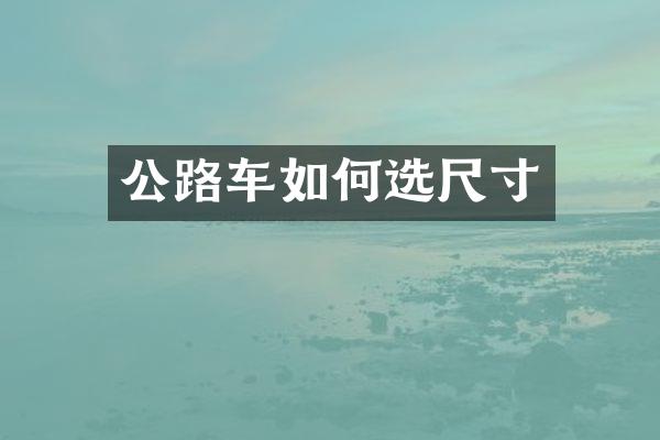 公路车如何选尺寸