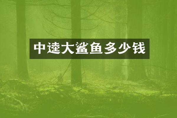 中逵大鲨鱼多少钱