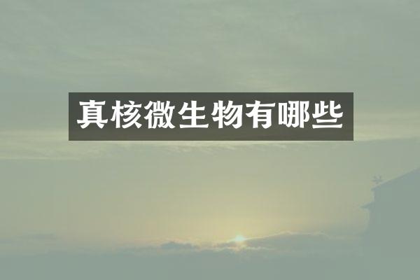 真核微生物有哪些