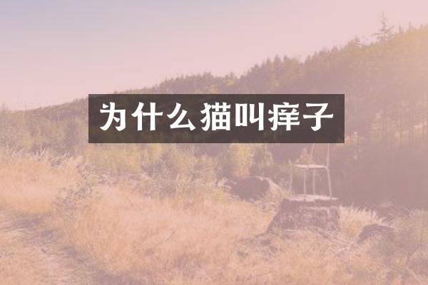 为什么猫叫痒子